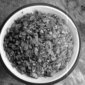 Mix Fried Chow