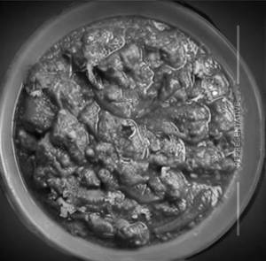 Boti Masala