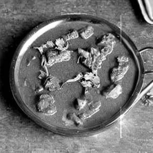 Kadai Panneer