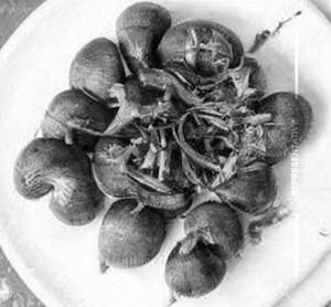 Hariyali Mushroom