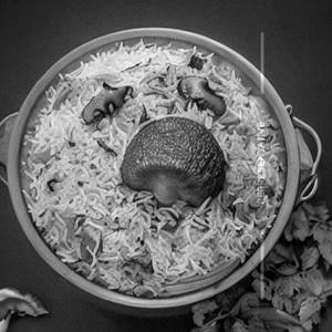 Mushroom Biryani 