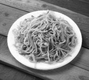 Veg Noodles