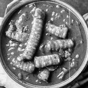 Chilly Baby Corn Gravy 