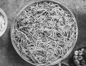 Veg Hakka Noodles