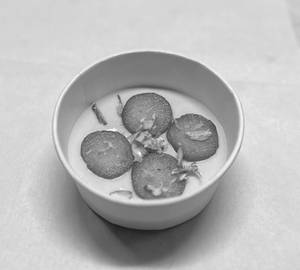 Rabdi Gulab Jamun                                            