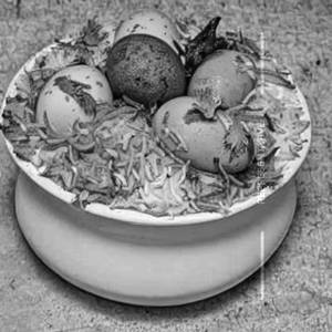 Egg Biryani