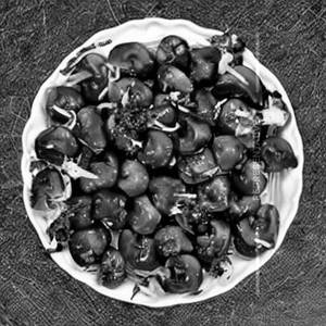 Pepper mushroom