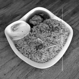 Nasi goreng 
