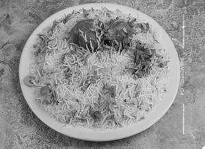 Chicken biryani (1pic)