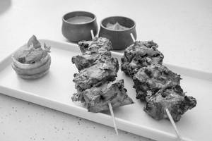 Chicken Pudina Kebab