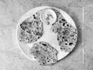 Tandoori Aloo Paratha