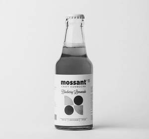 Blueberry Kombucha