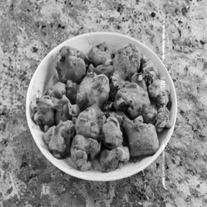 Aloo Gobi Veg