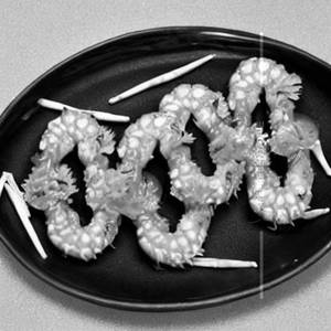 Dragon Prawns 