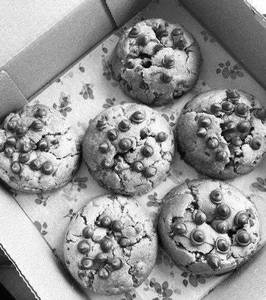 Choco Chip Cookies [1 Box, 500 Grams]