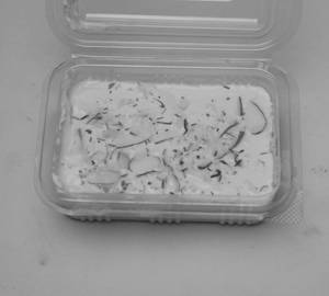 Arabian Pudding 