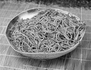 Veg Schezwan Noodles     
