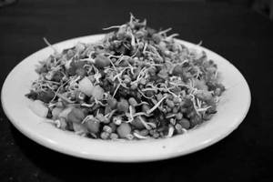 Special  Sprouts Chat