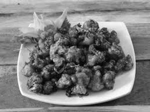 Gobi 65