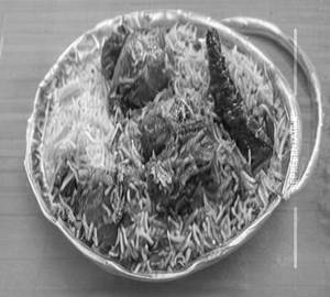Mutton Biryani