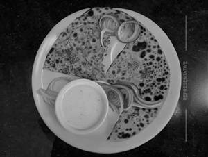 Paneer Pyaz Paratha