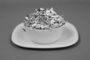 Mushroom Noodles