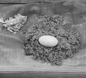 Egg biryani
