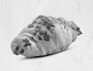 Cocoa Hazelnut Croissant