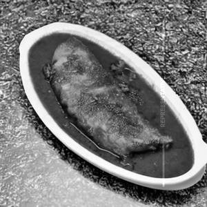 Pomfret Pulimunchi