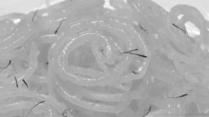 Special Jalebi 250 Gm