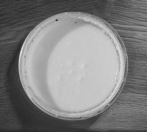 Curd