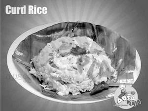 Dahi Rice Curd Rice
