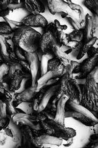 Crispy Mushroom