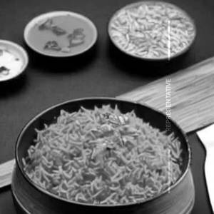 Tomato Rice