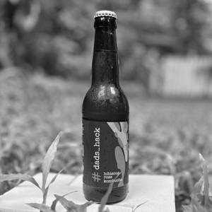 Hibiscus Rose Kombucha