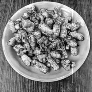 Crispy Corn 