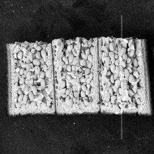 Mayo Corn Sandwich
