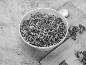 Chilli Garlic Noodles