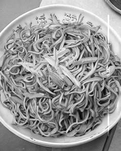 Vegetable Noodle 