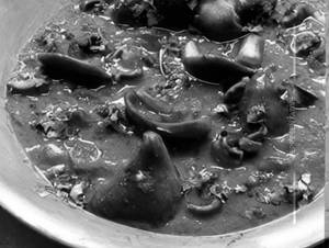 Mushroom Do Pyaza