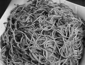 Veg Schezwan Garlic Noodles