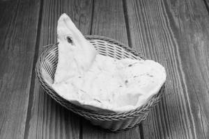 Naan