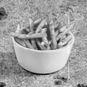 Masala French Fries