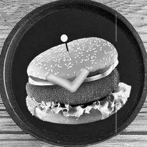 Cheese Burger                   