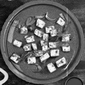 Regular Pepper Paneer