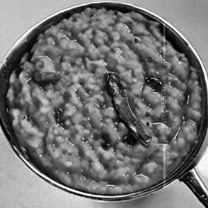 Khichdi