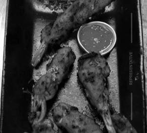 Chicken seek kabab