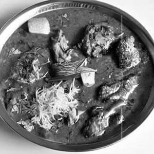 Veg. Matki Chicken