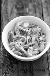 Onion Salad