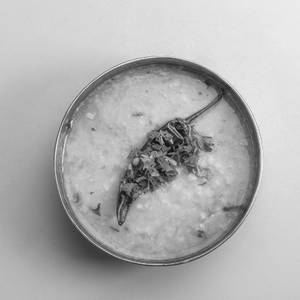 Plain Dal